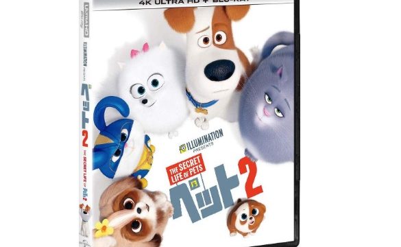 ペット2　Blu-ray　ブルーレイ　限定特典　DVD