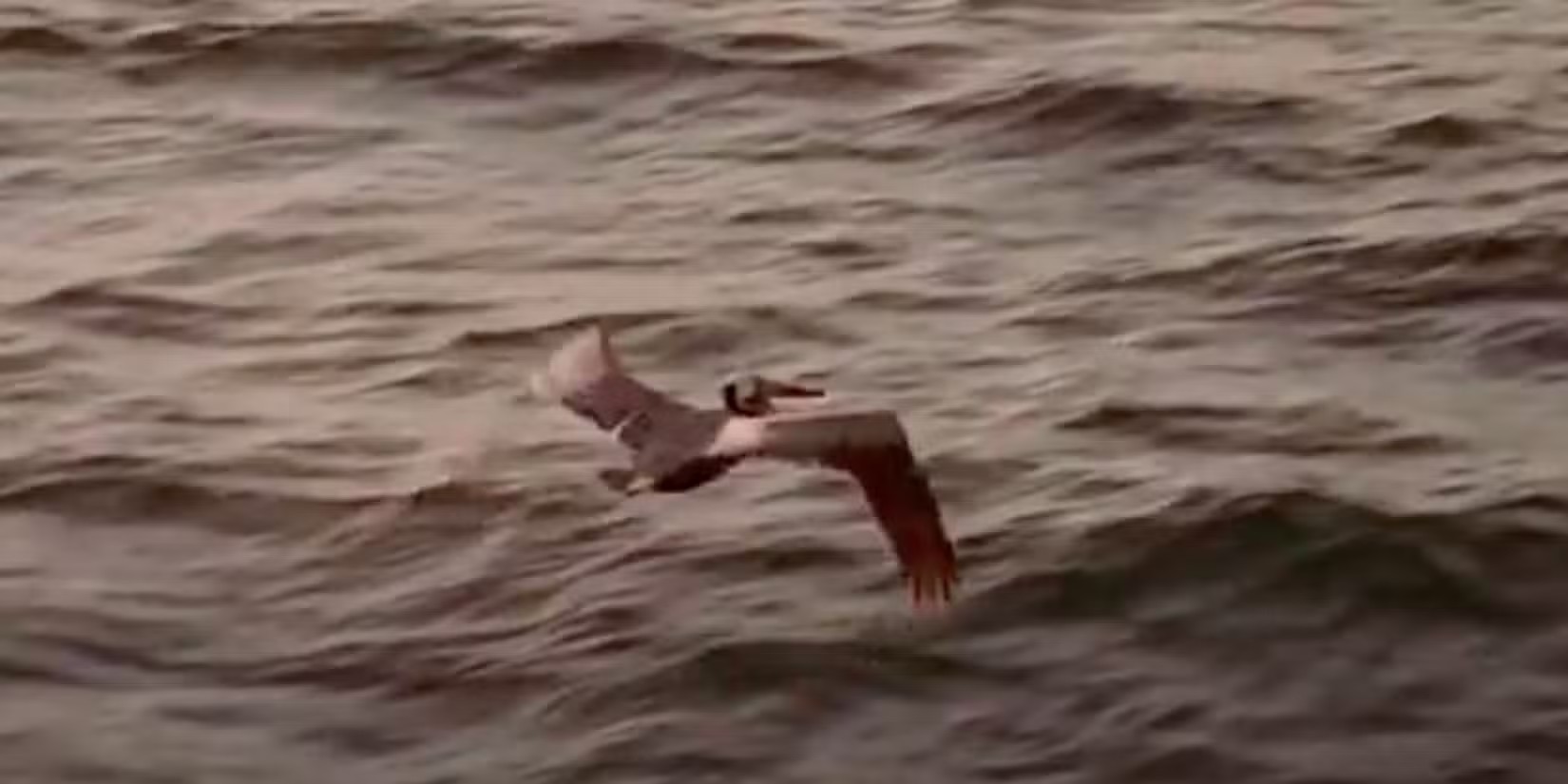 【ネタバレ解説】ジュラシック・ワールド/復活の大地』のトリビア、小ネタ、伏線、隠し要素、考察まとめ